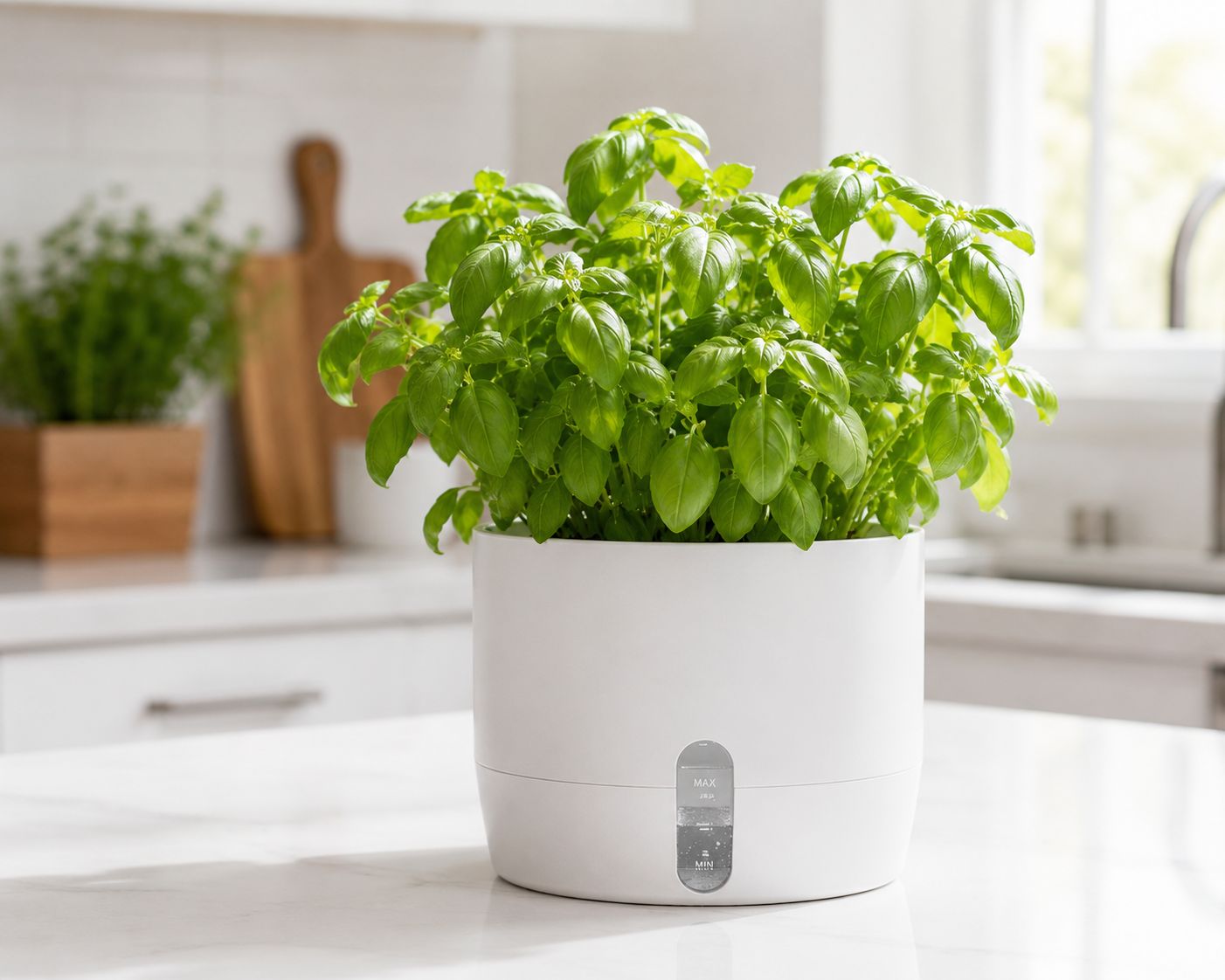 Self-Watering Planter