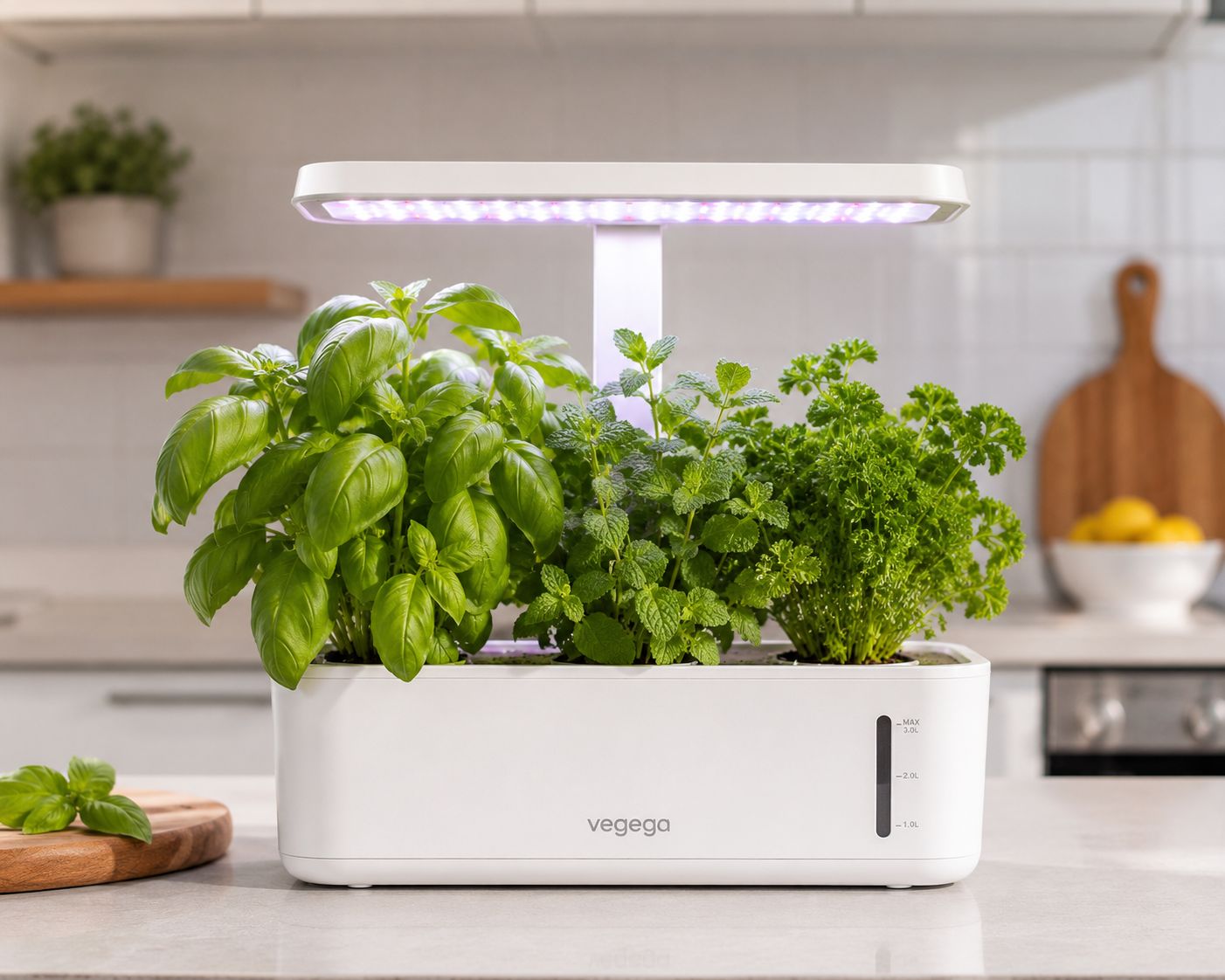 Hydroponic Kit