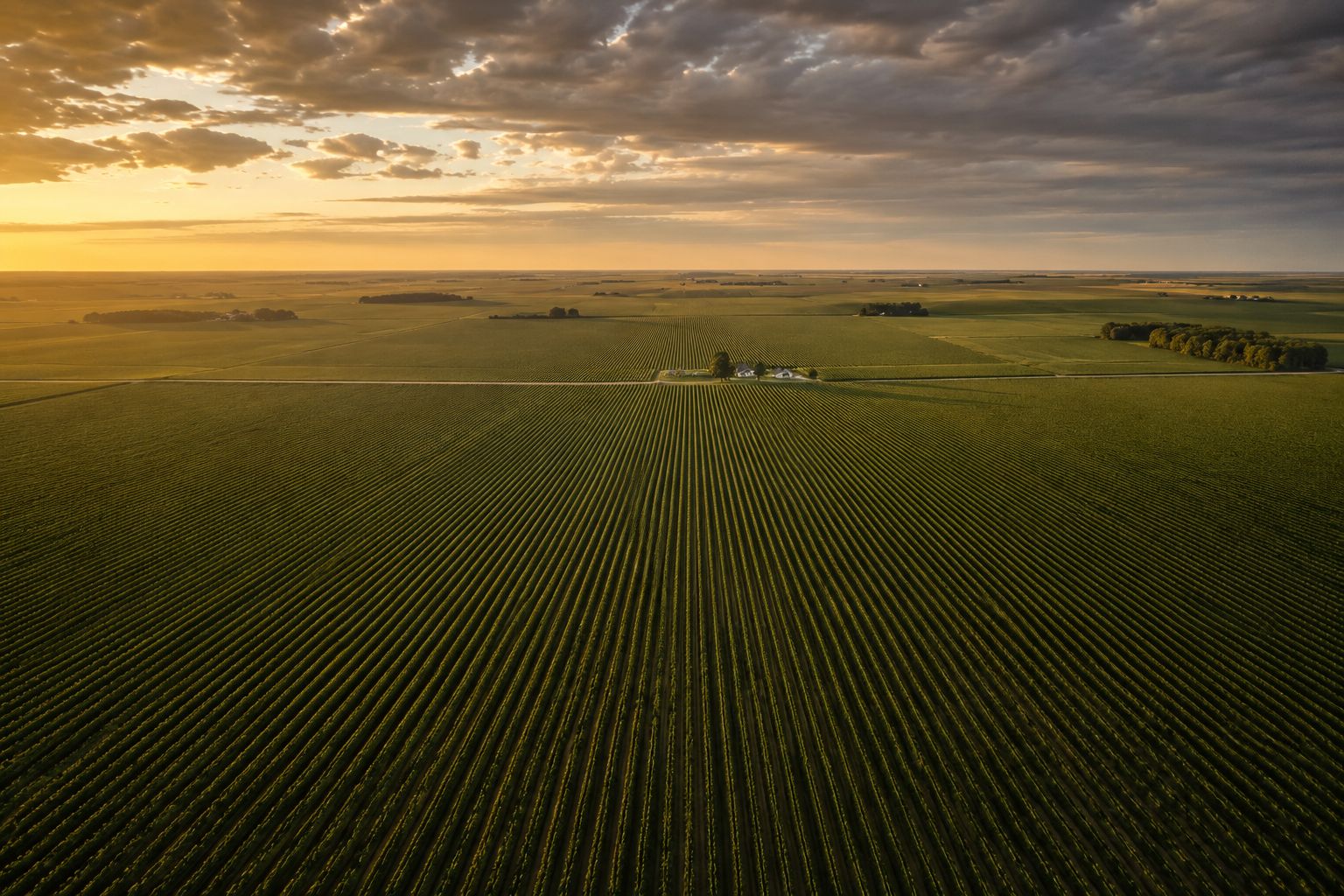 An aerial photograph of vast American farmland with perfectly uniform crop rows stretching to the horizon, a single small farmhouse visible in the distance emphasising the scale of ownership, golden afternoon light, documentary photography