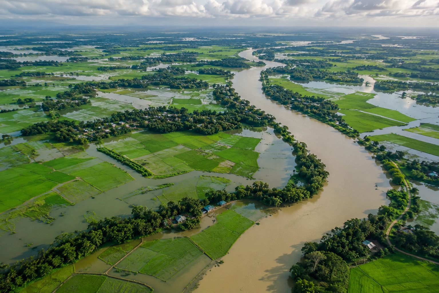 Aerial view of flooded green rice paddies in the Bangladesh delta with winding brown river channels, scattered villages on raised land, soft overcast light, dramatic professional landscape photography