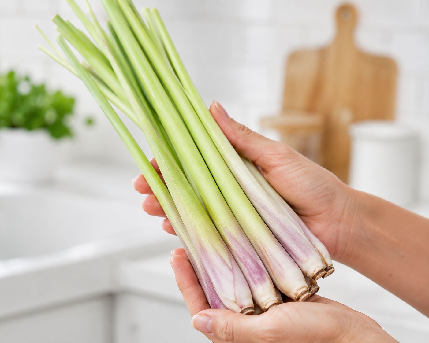 Fresh lemongrass stalks from grocery store