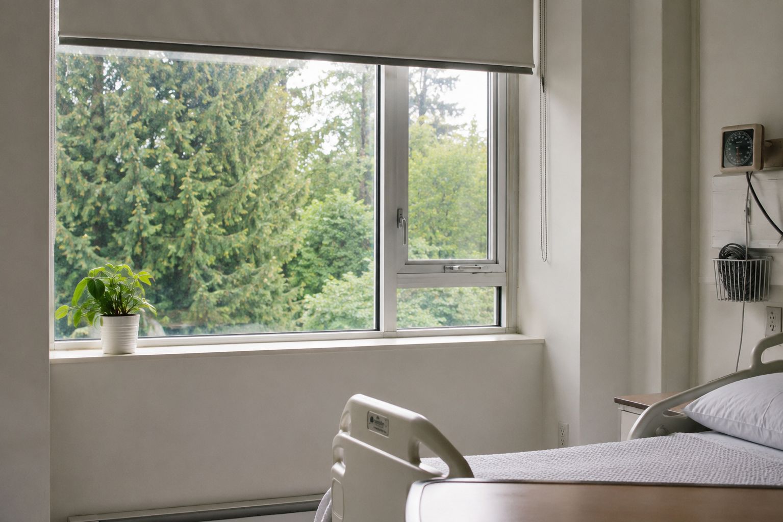 A hospital room window with a view of trees outside and a single small plant on the windowsill inside — the contrast between the clinical interior and living green is quiet and clear, soft natural light, documentary photography