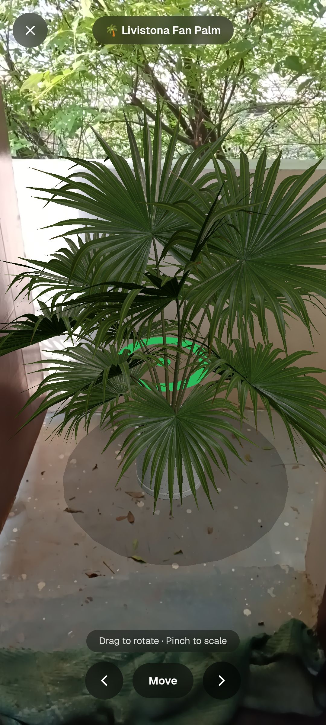 phone camera view with a 3D plant placed on a real floor/balcony, showing it blended into the actual room